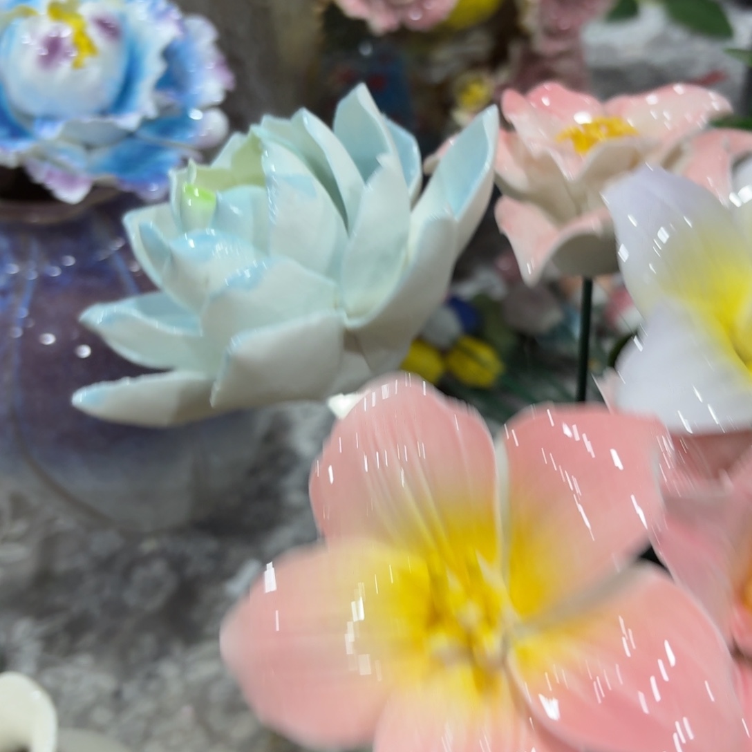 陶瓷花20发货，退款拉黑，680，5个有加利