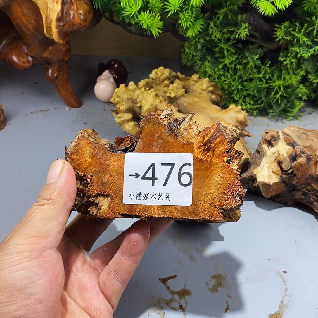 香榧木子*火琉璃料