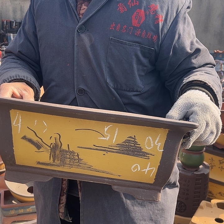 紫砂紫砂花盆盆栽