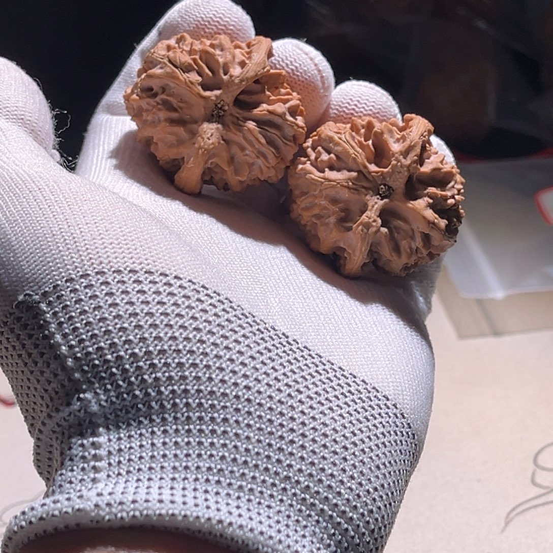 那***～苹果园 平跟喔唷 喔唷。