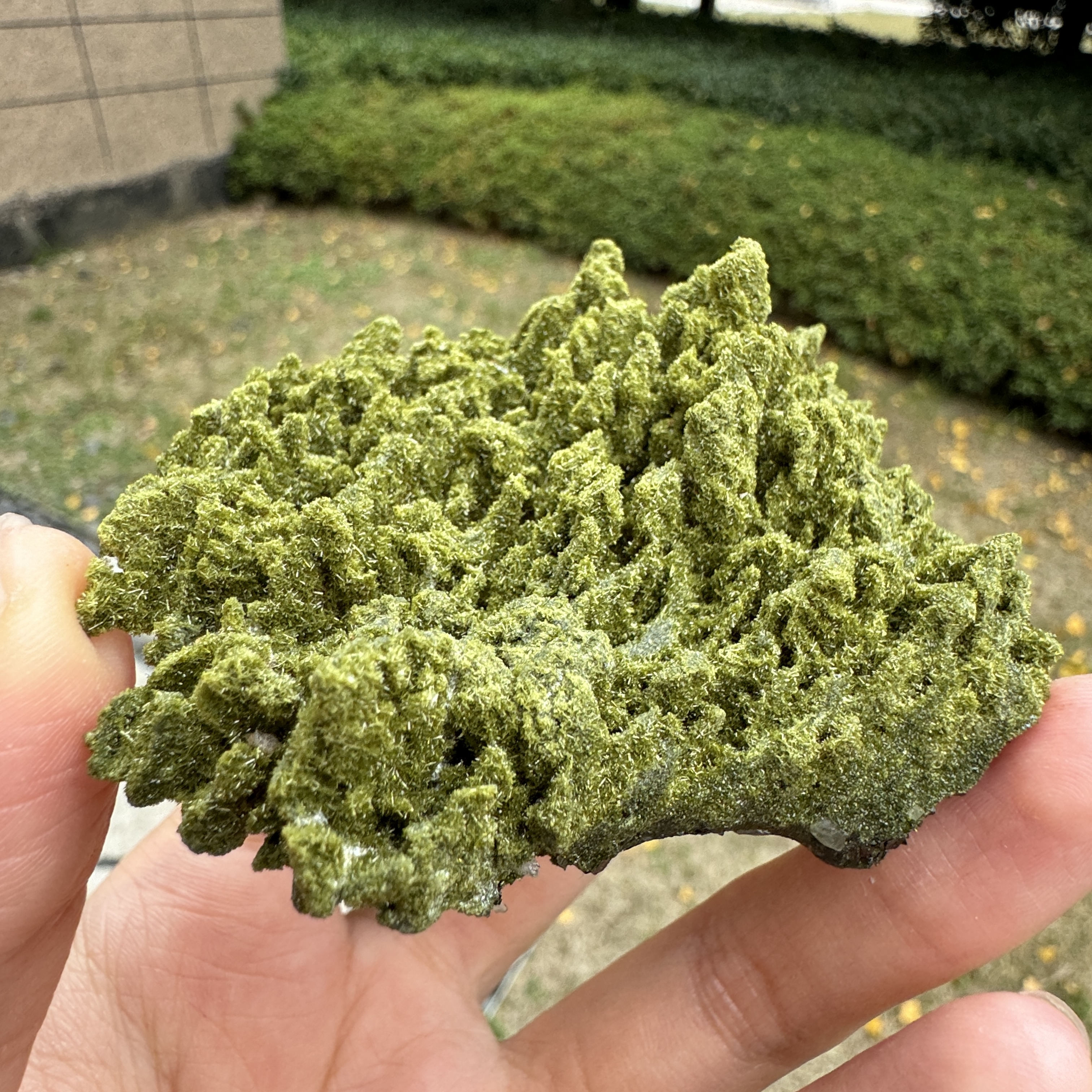 原石摆件，矿标 原矿 绿帘石