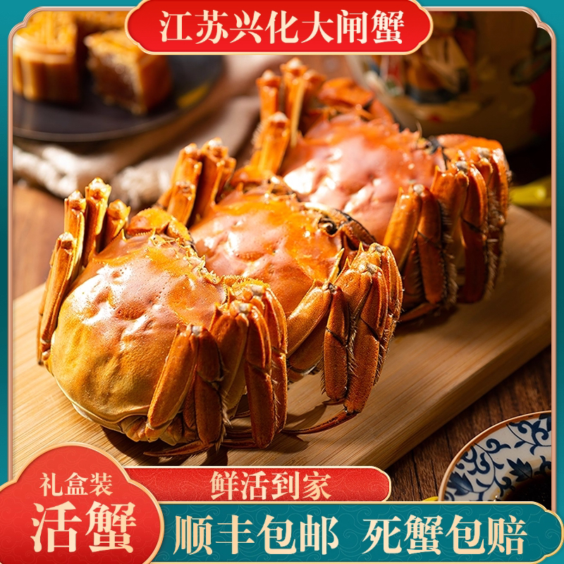 【活蟹】江苏兴化大闸蟹全母蟹3.8-4.2两8只礼盒装鲜活到家