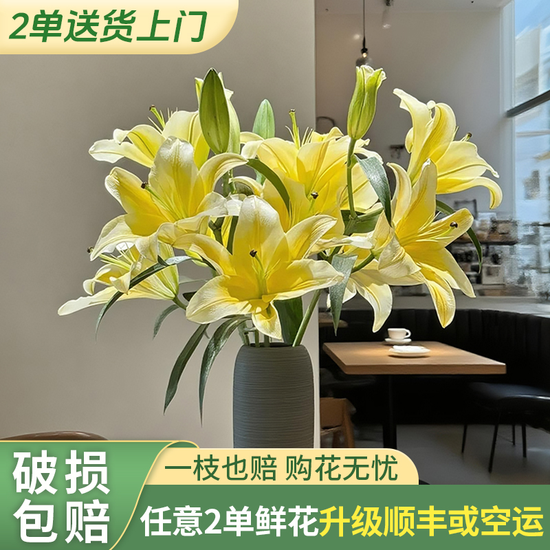 【源头优选老六】黄天霸香水百合/元旦预热 任意2单鲜花升级快递