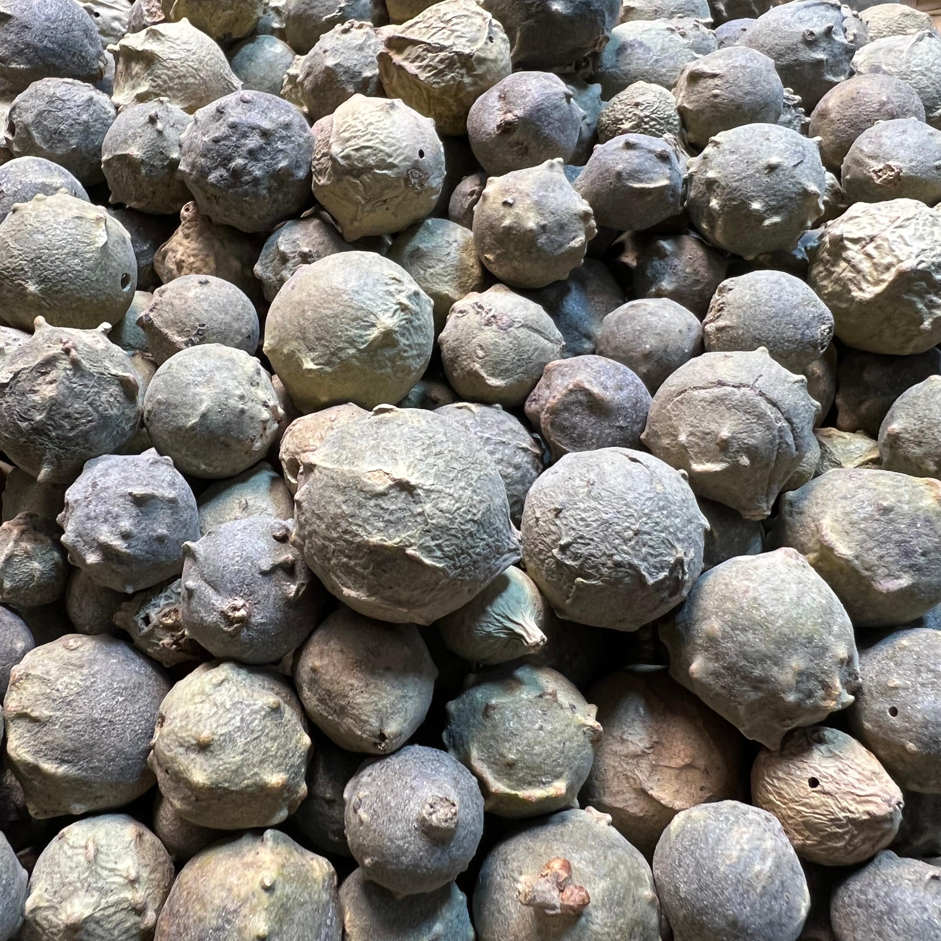 （月）初级农产品【春·虫·秋·果】250g 500g可搭配枸杞使用