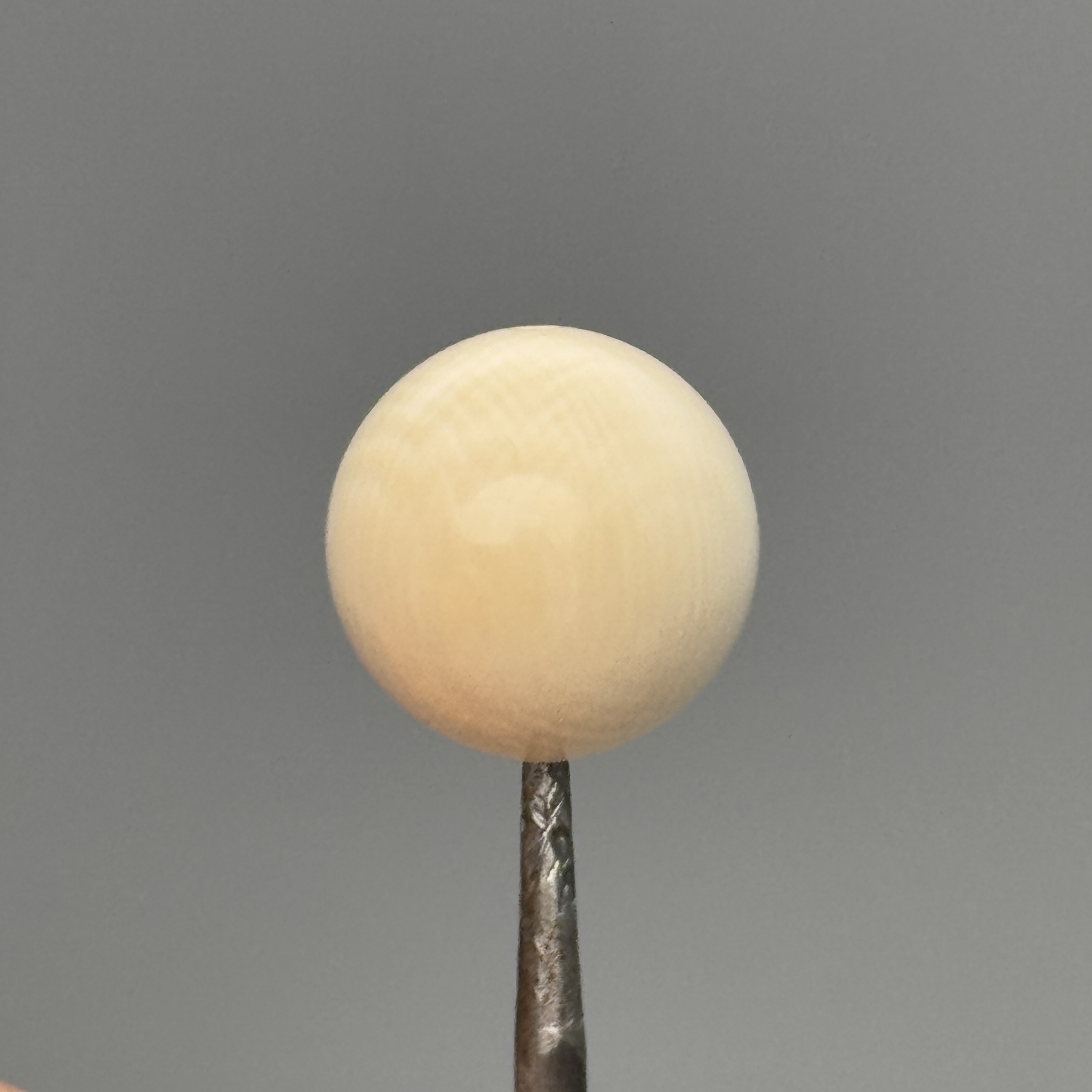 DEZHI/德志14+圆珠纯肉满纹5A带水印猛犸配饰多样性一颗C1401