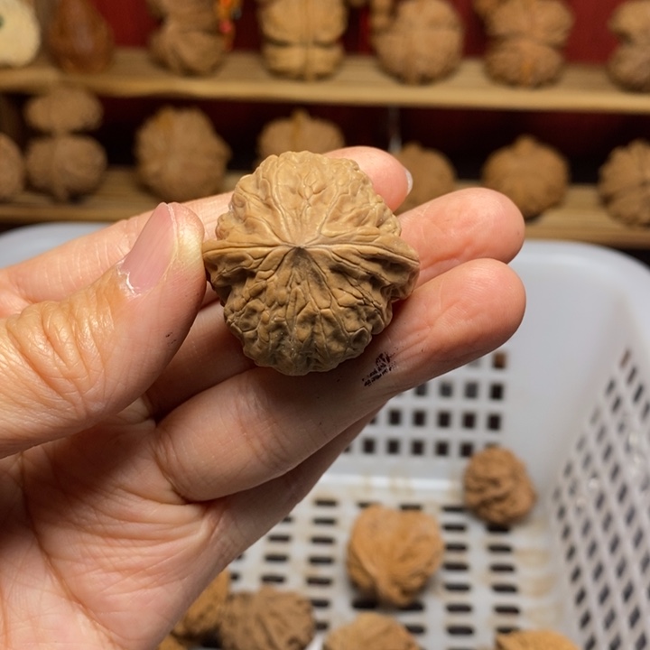 ****⁺文玩核桃把件文玩