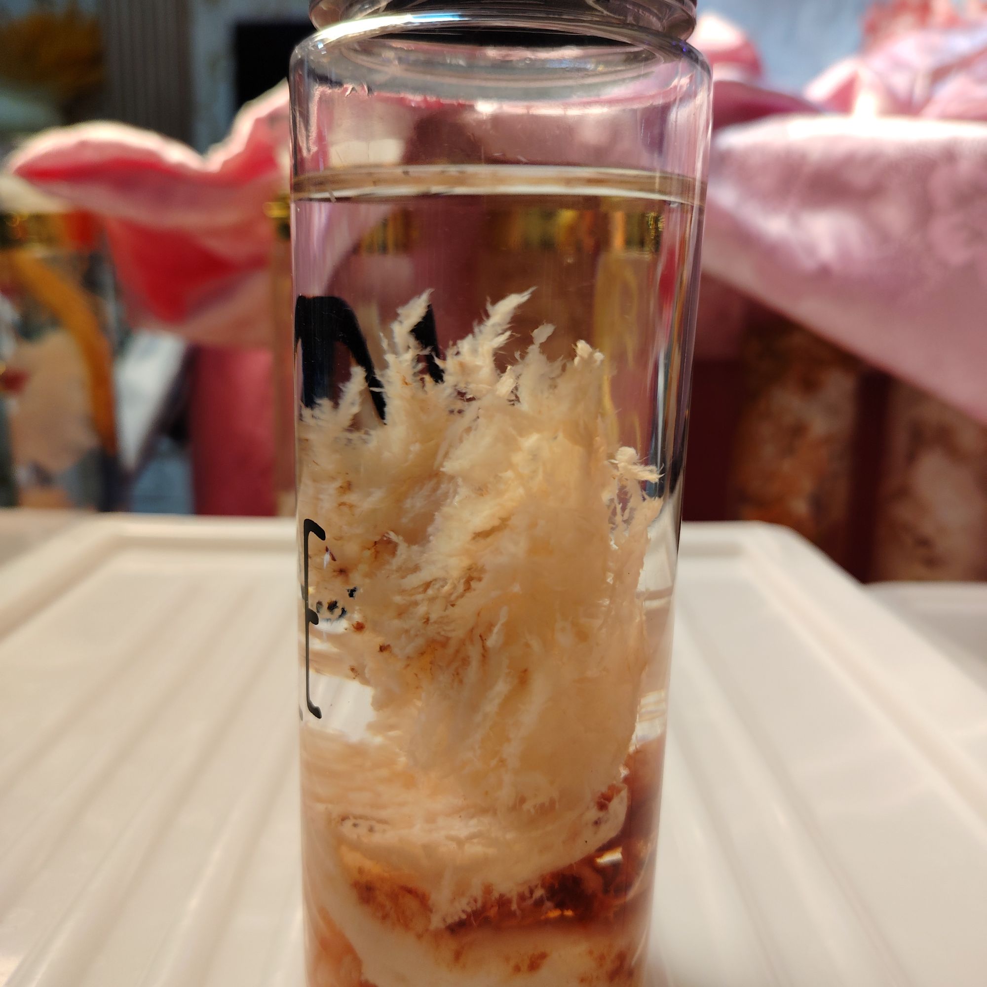 长白山石太岁精品摆件