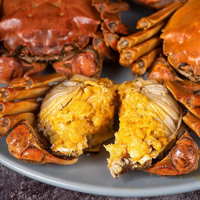 【本院蟹铺】活蟹全母蟹4.1-3.8两 8只+送2只 苏州精品大闸蟹礼盒装