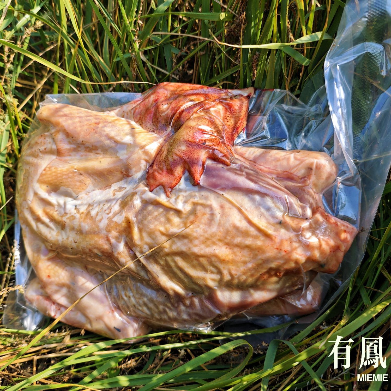 草原散养芦花鸡（母鸡）全福品推荐