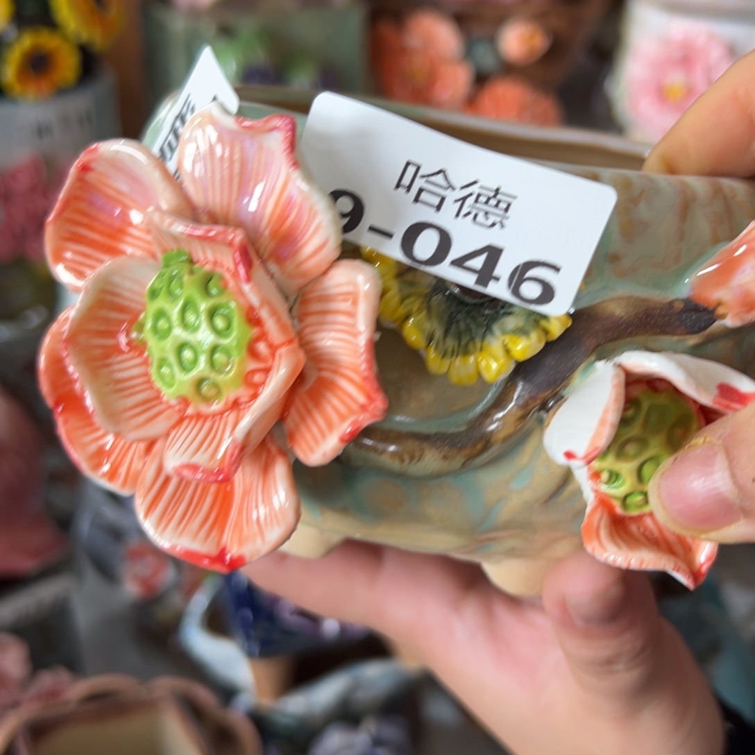 瑕疵946 多肉花盆，满20发货，爱退款拉黑