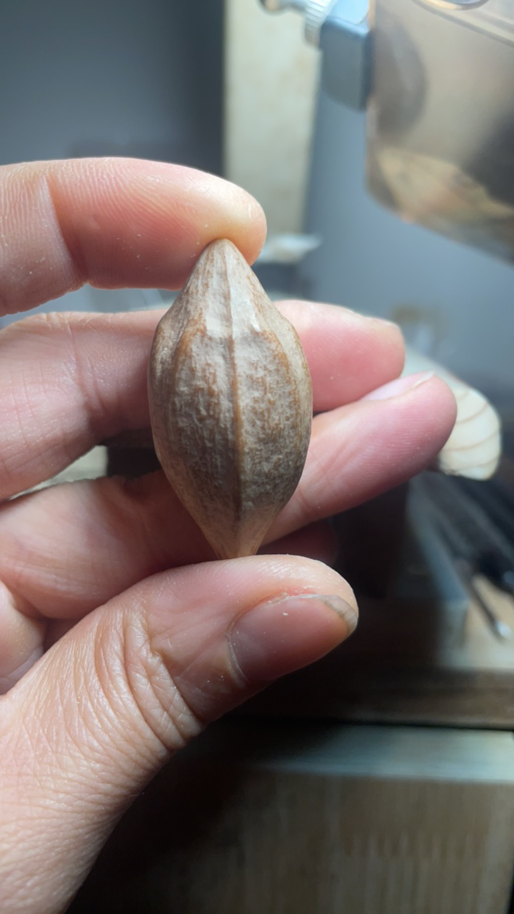 梅林大核，2.1尺寸