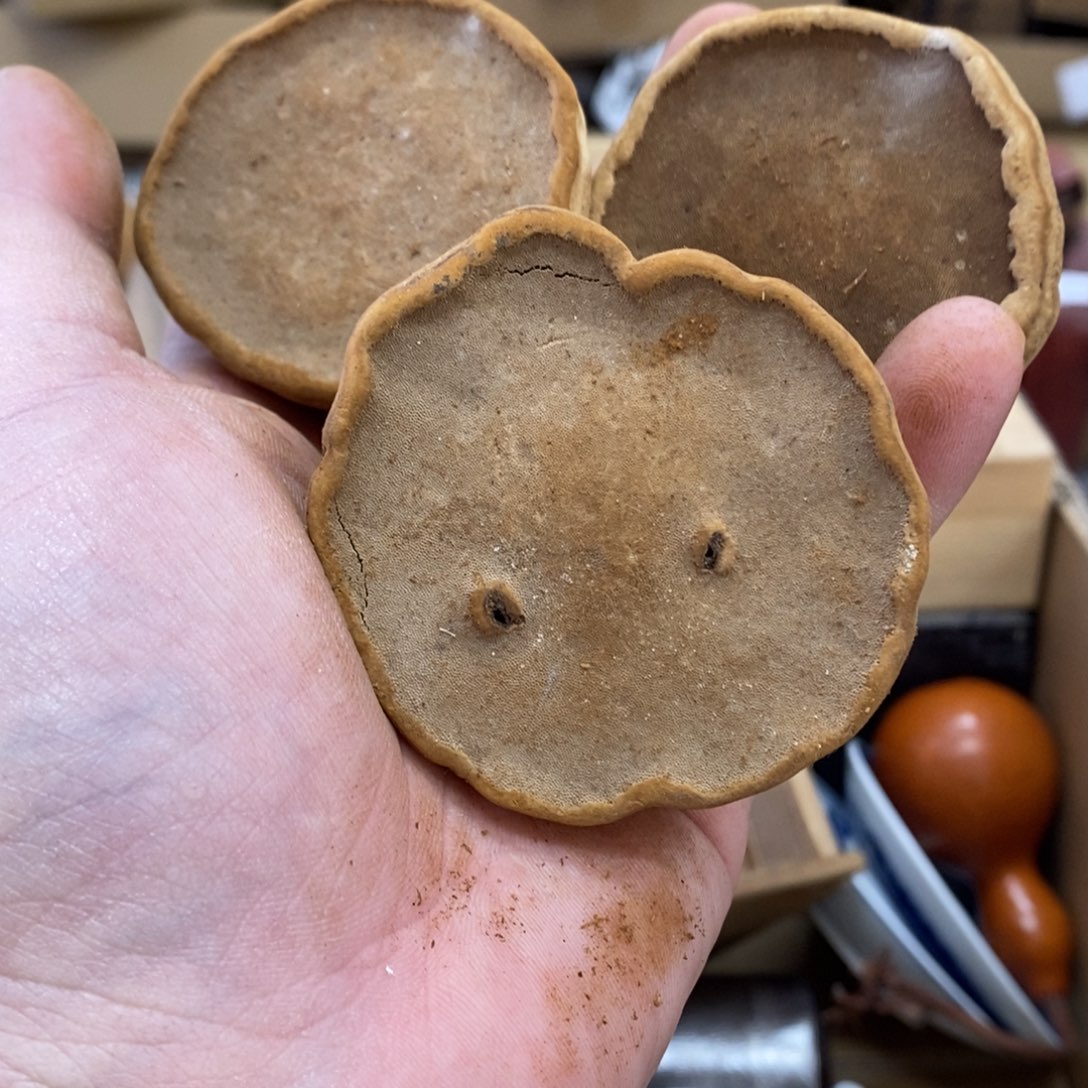 ld 陶瓷杯陶瓷杯咖啡杯马克杯