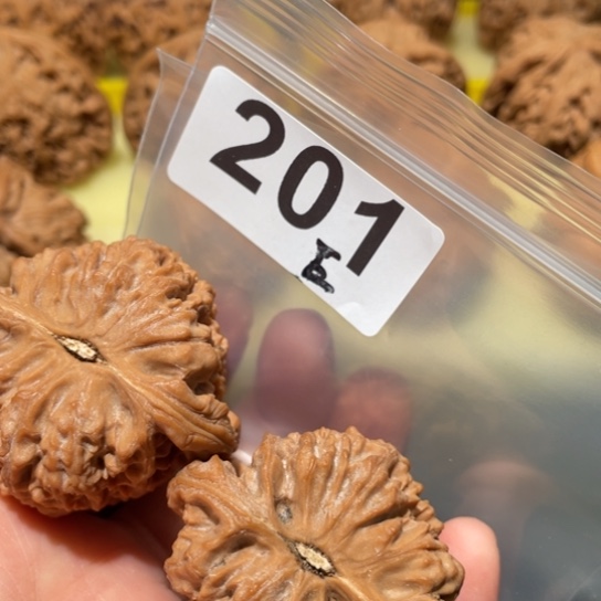 文玩核桃把件南疆42