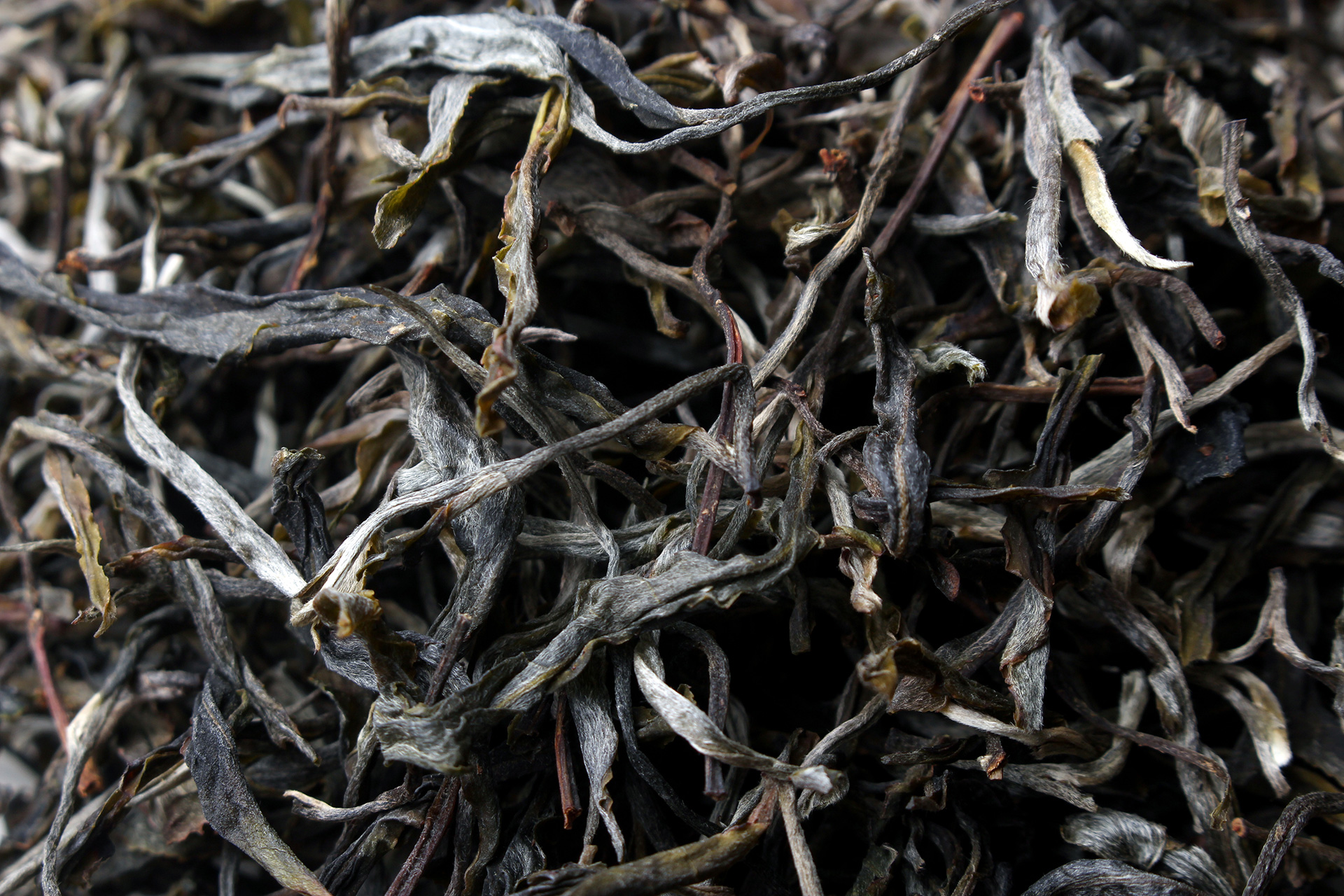 曼金囡村2023年头春大树普洱茶500克西双版纳勐海县勐宋晒青散茶