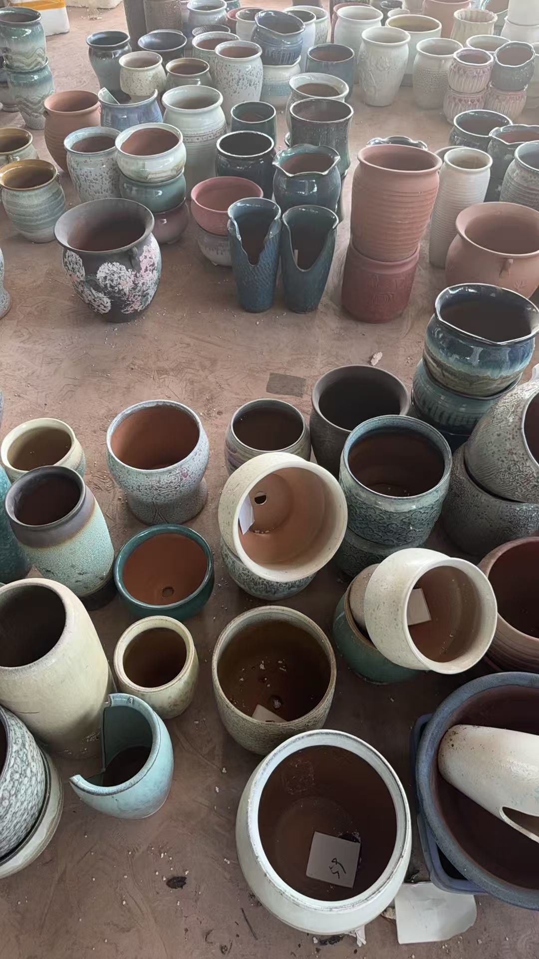 随机小花盆一个随机一个