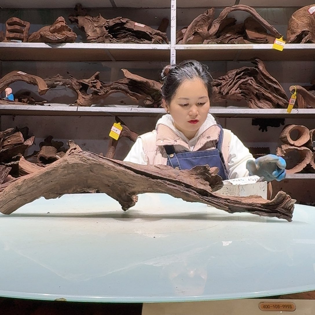 倍褚沉木不包损必褪色随*?5747