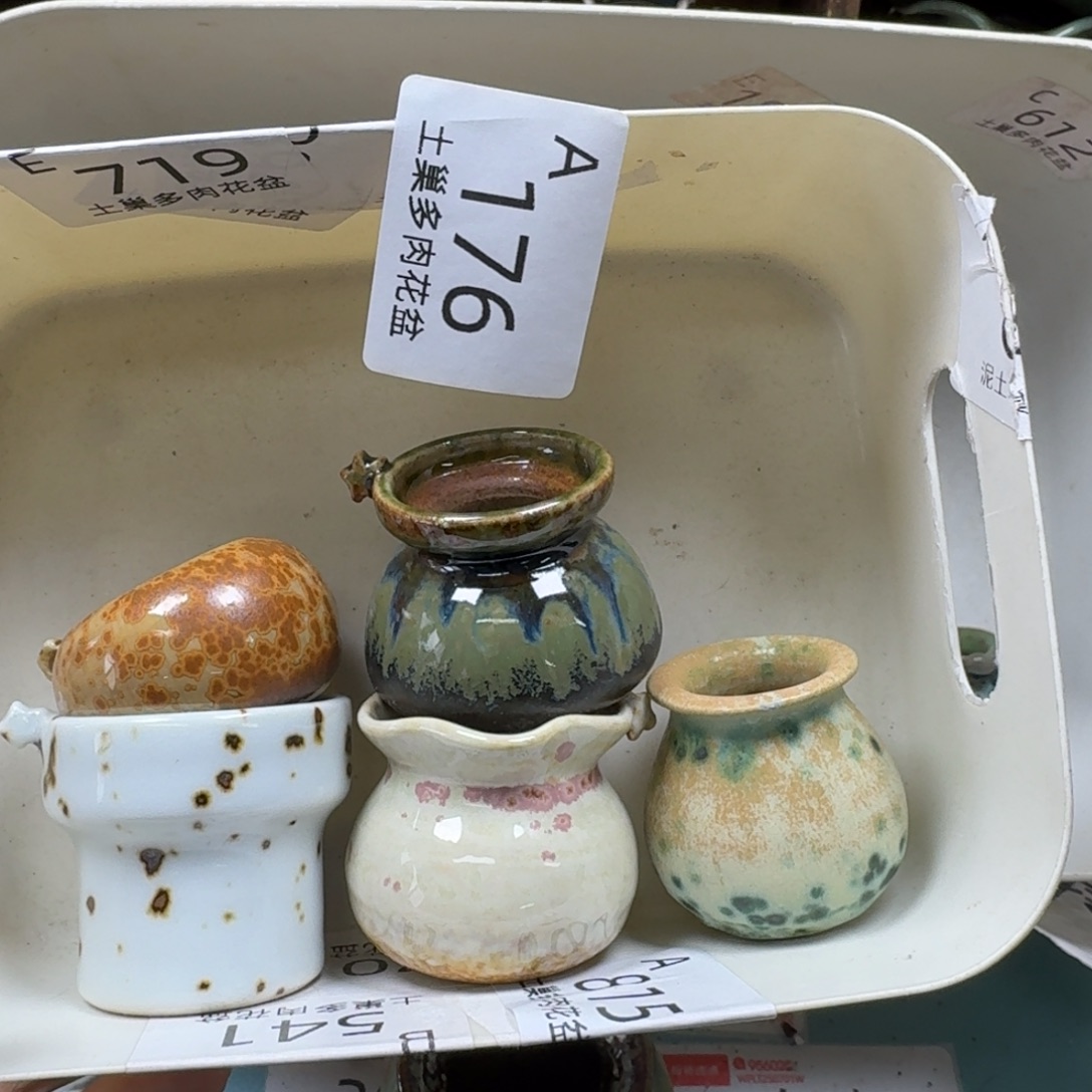 椰***冻陶瓷艺术品设计与制作