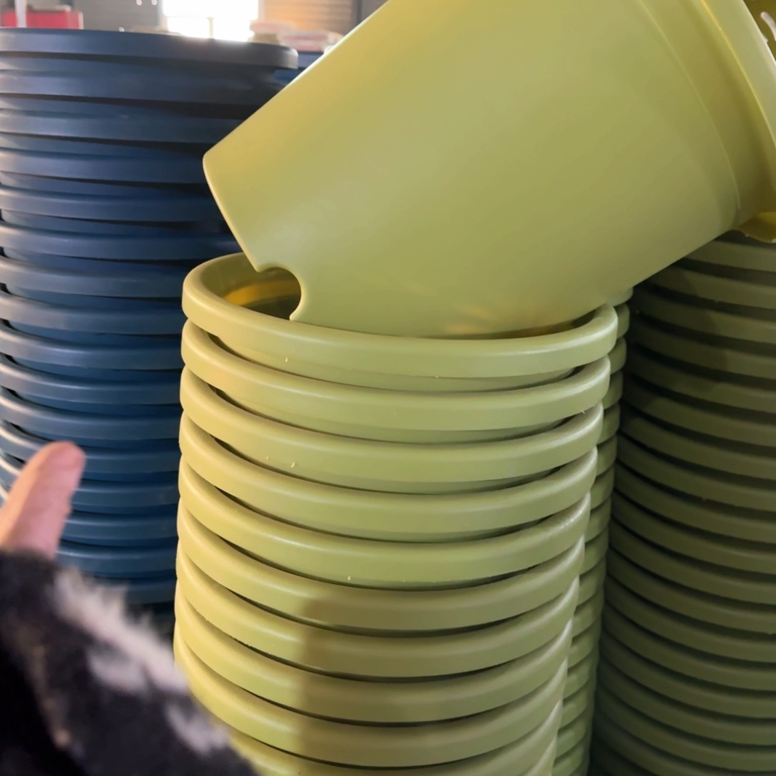 树脂特价7#无拖果绿6个