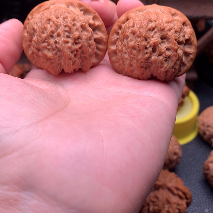 吊坠文玩核桃血麒麟43