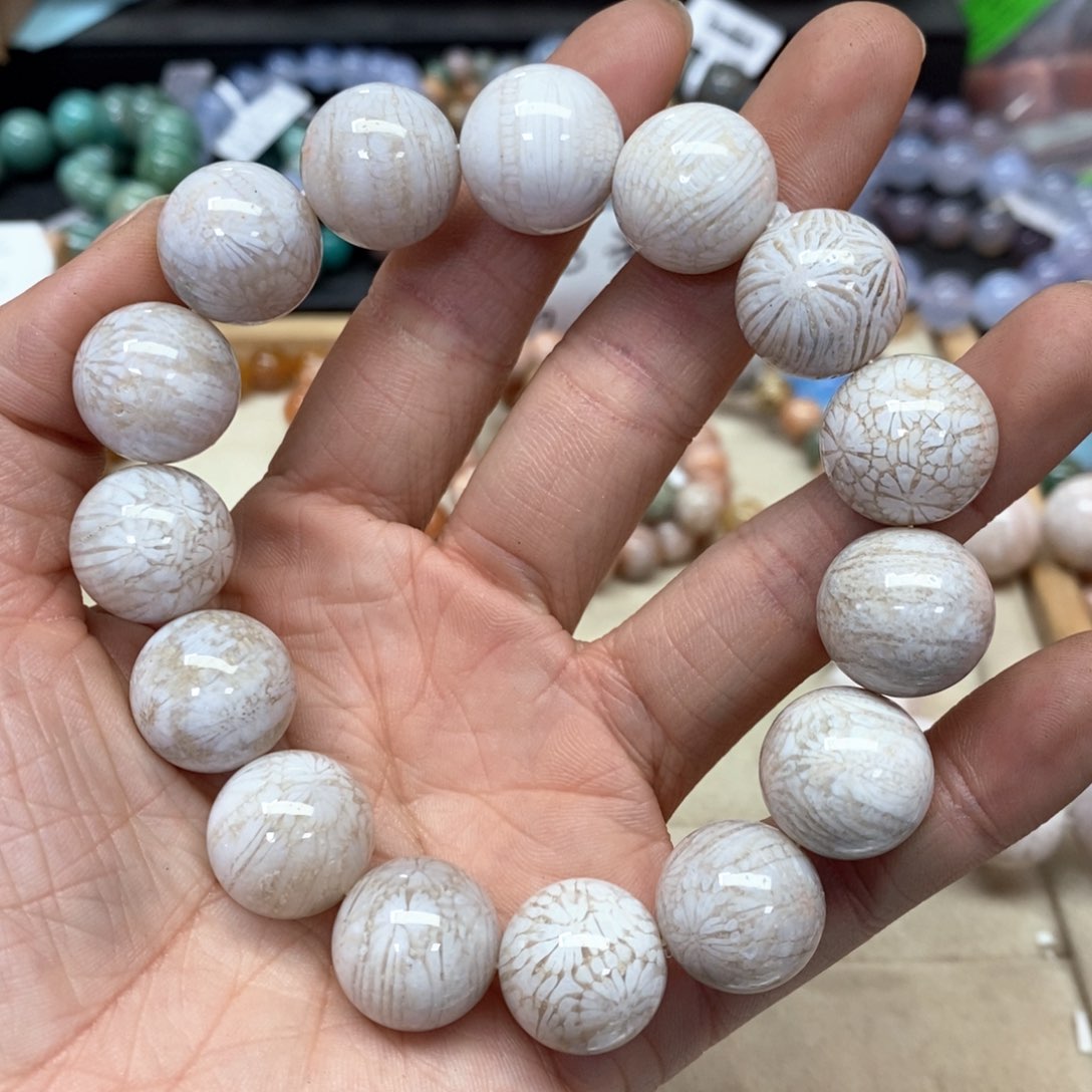 硅化珊瑚（珊瑚玉）手链未镶嵌莫*卡248