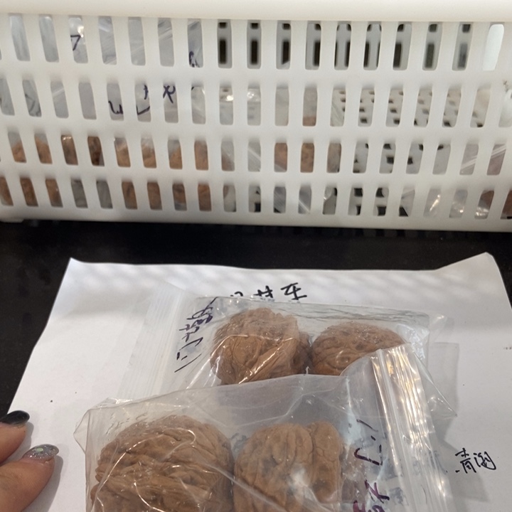 吊坠文玩核桃门墩儿瑕疵