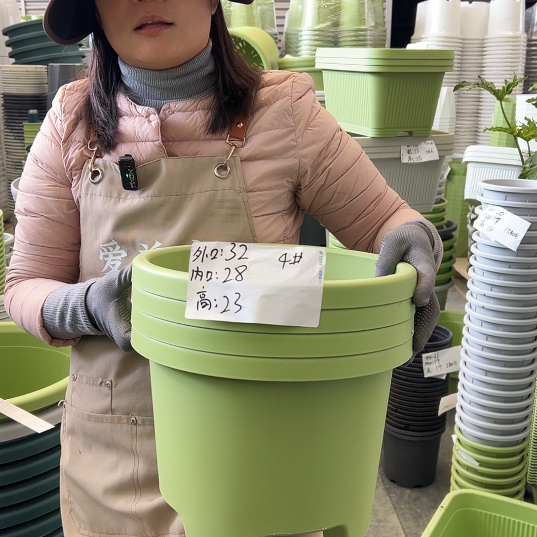 球根盆4#果绿色5个无托