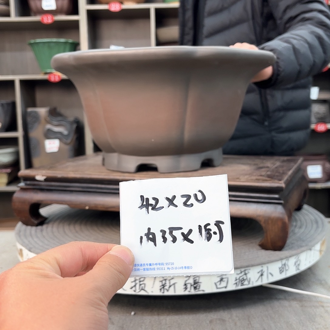 紫砂花盆L*m紫砂的花也太