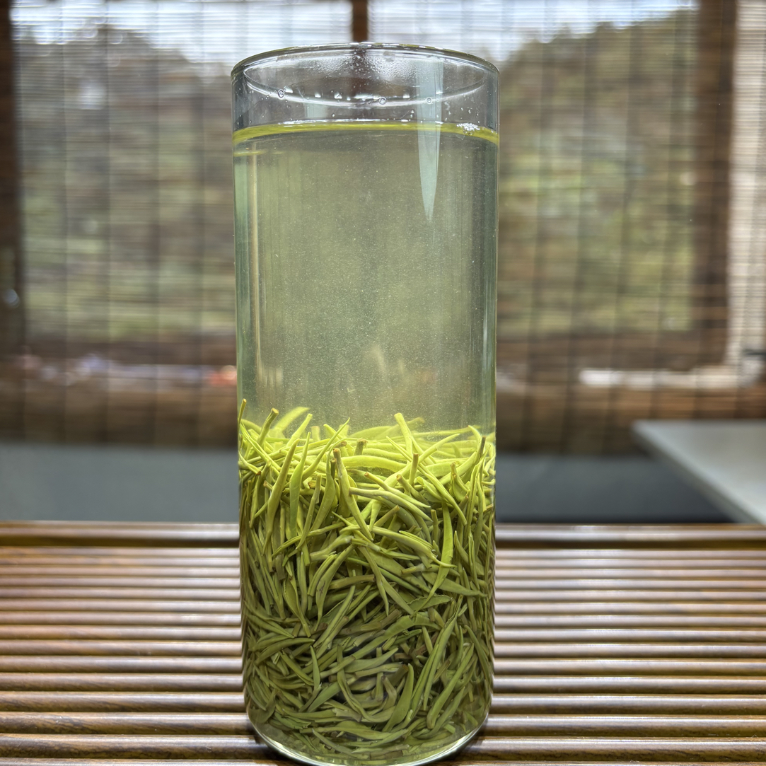 2025年正宗信阳毛尖白露小芽浓香耐泡绿茶