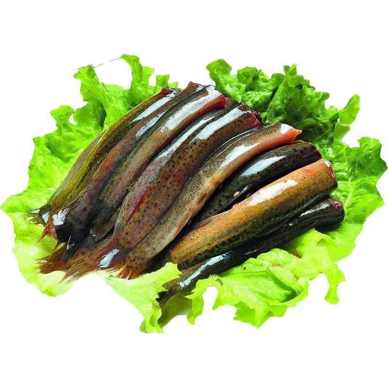 发货野生锁鲜低脂鲜嫩泥鳅鱼
