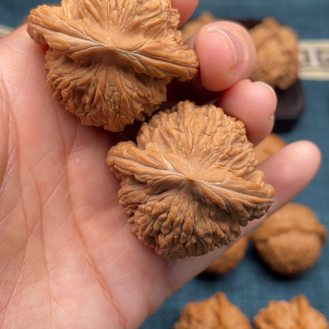 文玩核桃把件41老树红皮虎头