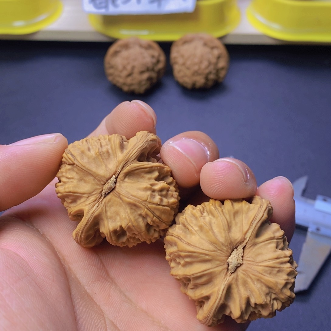 C****.文玩核桃白狮子编号018