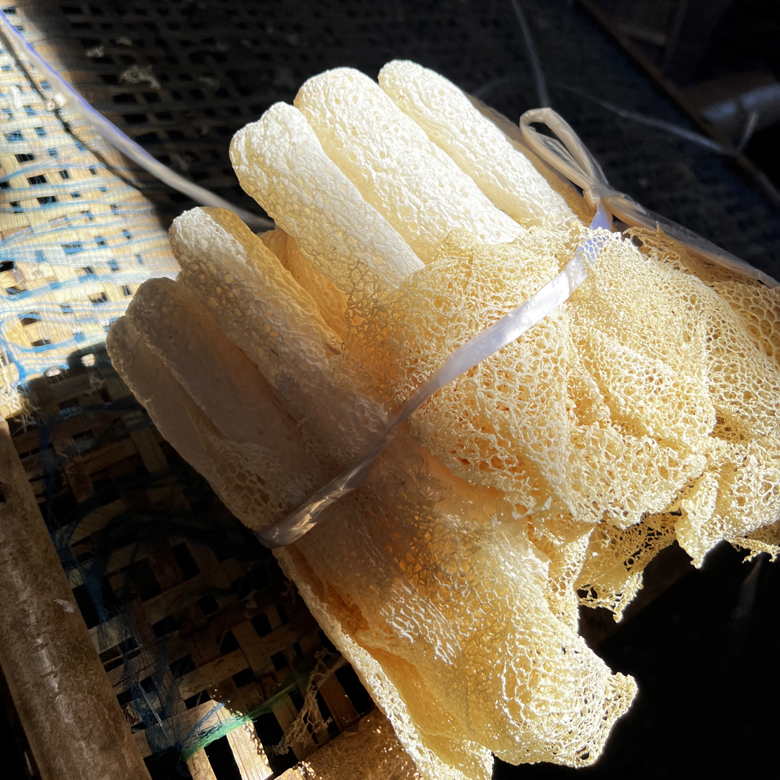 当季新鲜农家竹荪干货 无硫 烫火锅炖鸡汤鲜美好食材