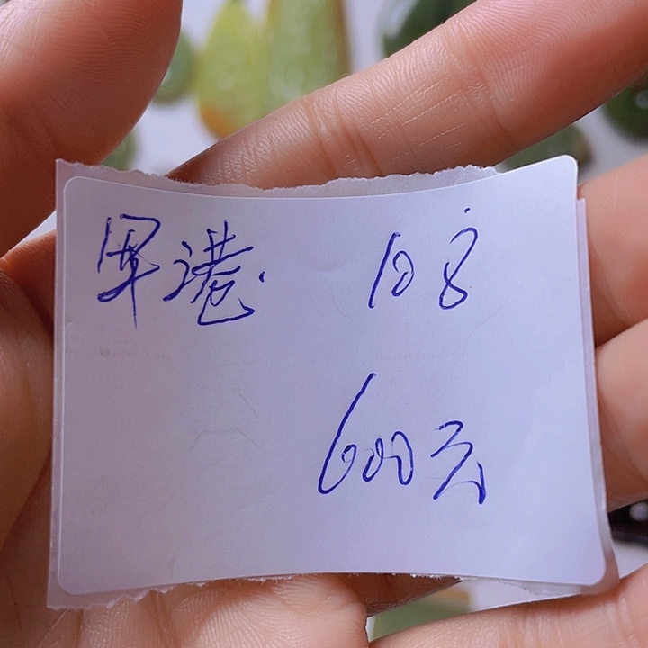 未镶嵌岫岩河磨玉（透闪石质玉）挂件