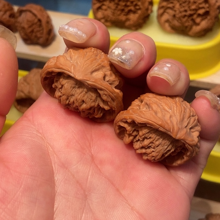 官方网站发布消息