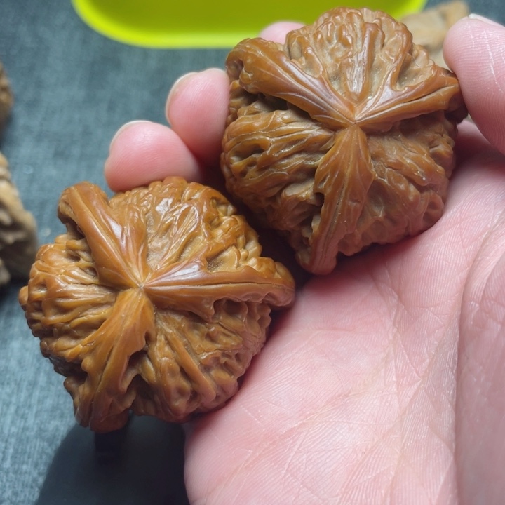 工艺三棱白狮子三棱