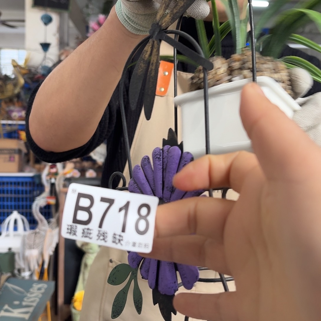 核桃木/黑胡桃（胡桃木）