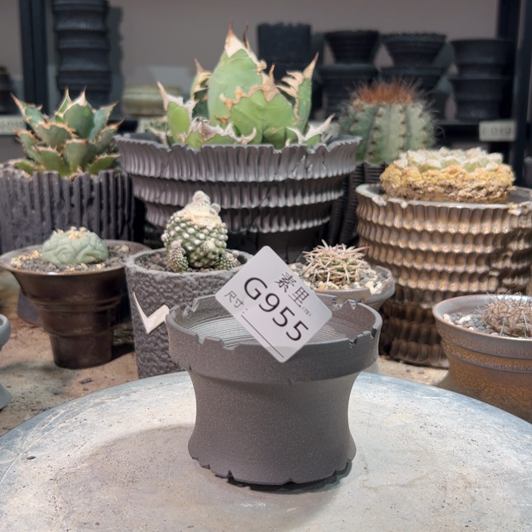 景德镇手工素里内口9.5高7