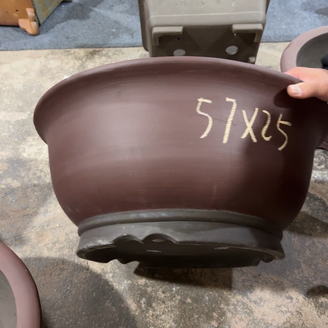 紫砂花盆呜呜呜呜