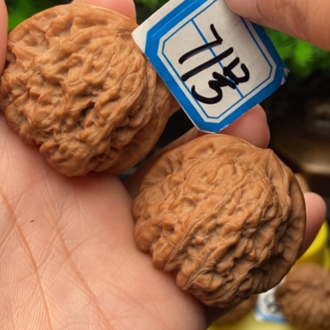 文玩核桃吊坠平谷凹底40