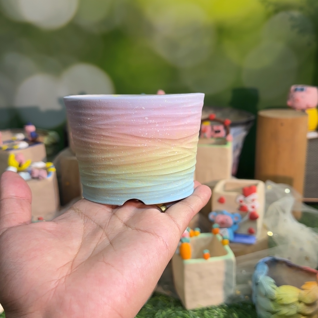 q***6凄凄切切一个字也没写