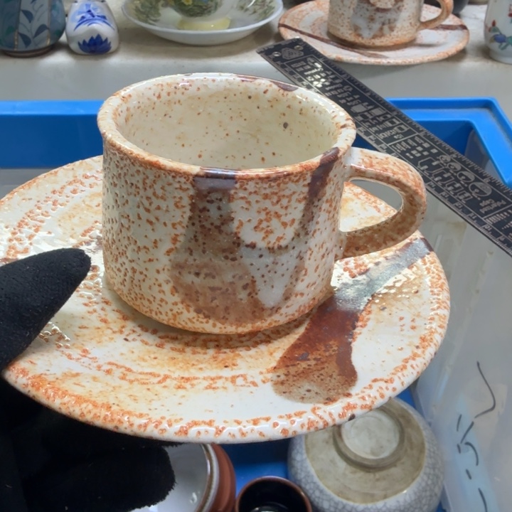 瓷片开播啦…开播啦！
