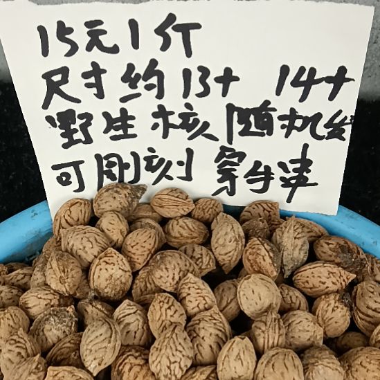 桃核吊坠野生山桃核15元一斤随机发