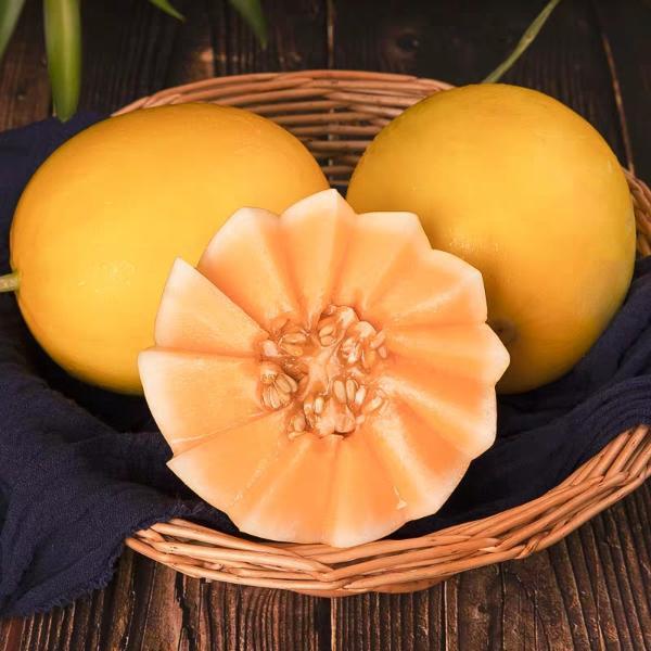 【顺丰陇小胖】甘肃民勤蜜瓜沙漠蜜瓜新鲜当季水果脆香多汁