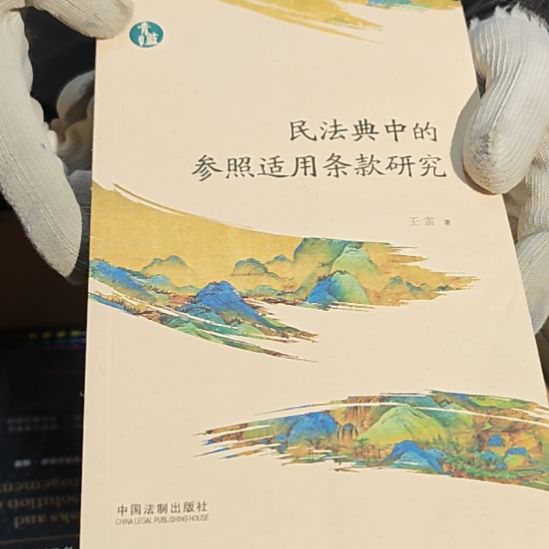 民法典中的参照适用条款研究