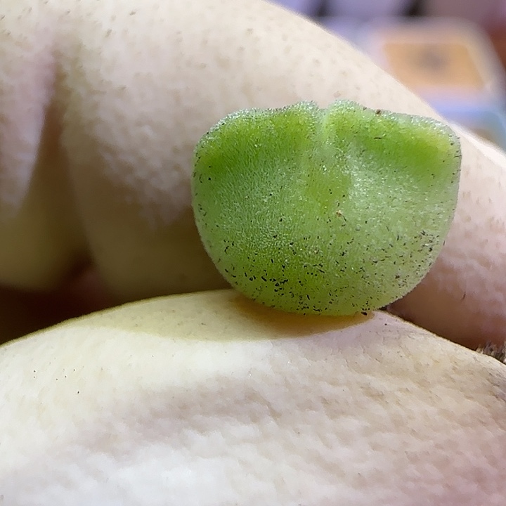 601空蝉福利福利福利