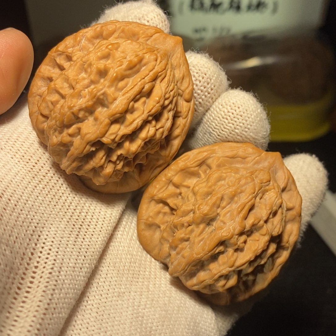 老树虎头40尺新春福利