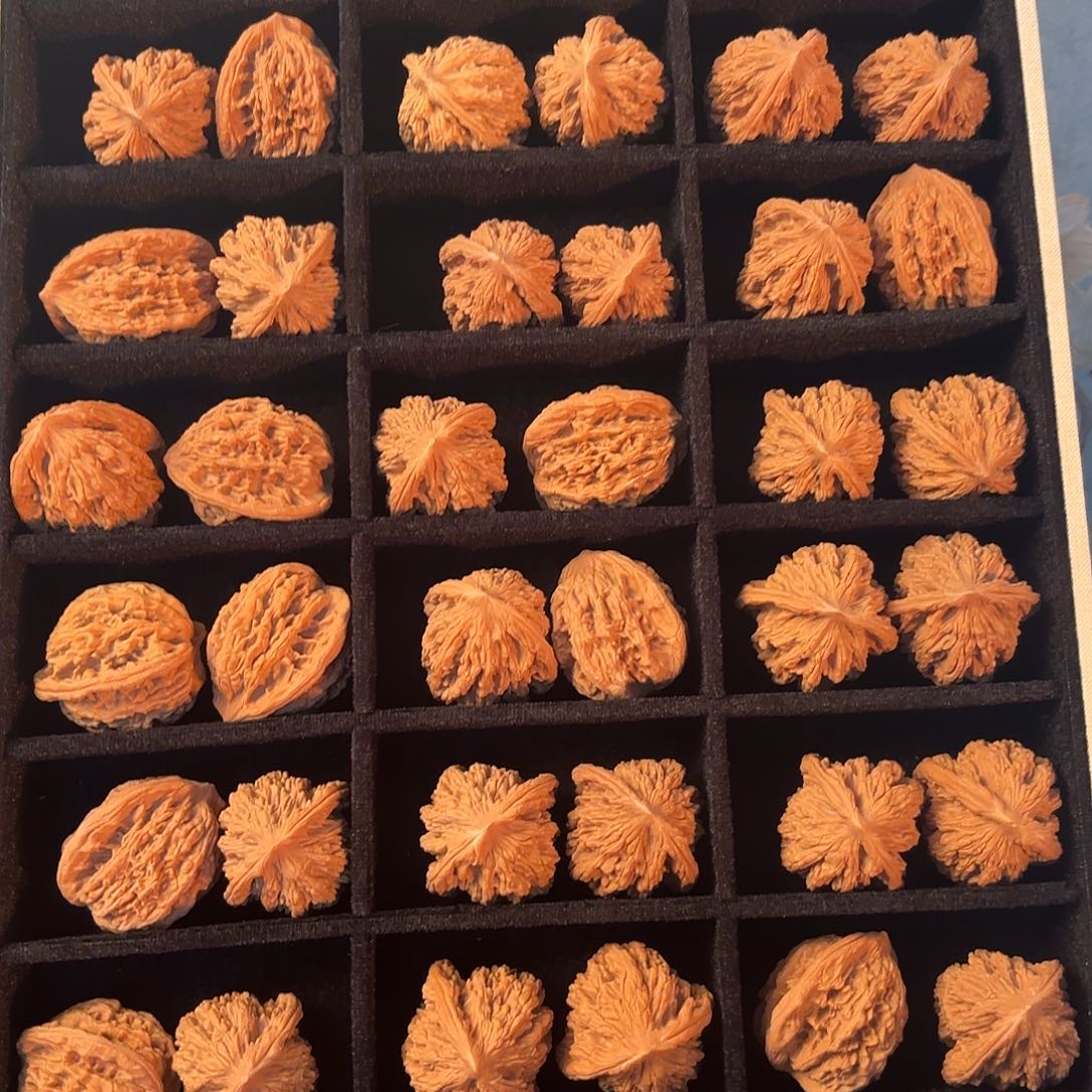 手串/手链核桃88888