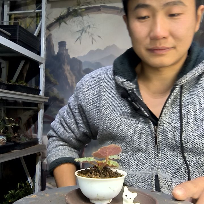 珊***珊中青园艺一物一拍花273