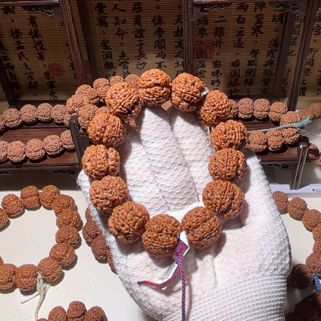 十****手串金刚菩提23梅花