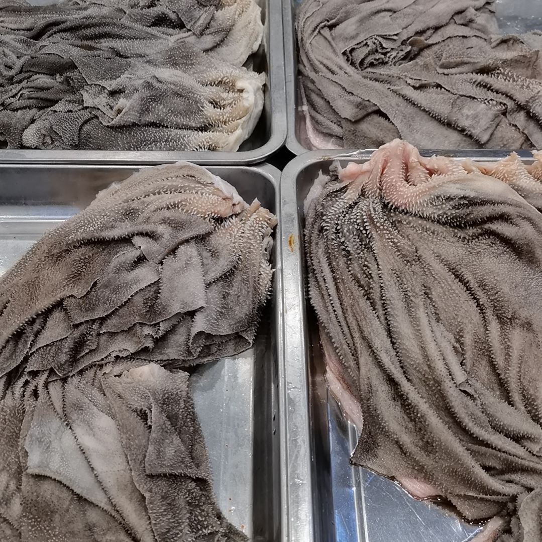 冷冻保存六个月中国大陆餐饮制售